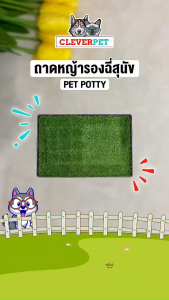 CleverPet ห้องน้ำสุนัข Pet Potty แผ่นซับฉี่สุนัข ถาดฉี่ ห้องน้ำสัตว์เลี้ยง แผ่นฉี่หมา
