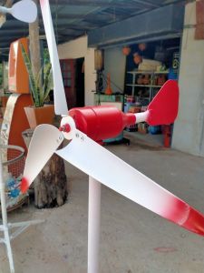 หางกังหันเรียกทรัพย์(เฉพาะหาง)