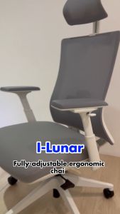 FLEXISPOT Malaysia High Back Mesh Ergonomic Office Chair I-LUNAR 5 Years Extended Warranty Flexi Spot I Lunar - Lazada