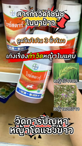 ไรซ์สตาร์ ขนาด 250 ซีซี ฟีโนซาพรอป-พี-เอทิล 6.9 % W/V EC กำจัดวัชพืชใบแคบได้หลายชนิด  เช่น หญ้าข้าวนก หญ้ากระดูกไก่