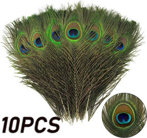 ธรรมชาติขนนกยูง 10 ชิ้น ฝีมือ ตกแต่งการจัดดอกไม้ โรงแรมห้องนั่งเล่น บ้านอุปกรณ์ เป็นสินค้าสำหรับการจัดดอกไม้