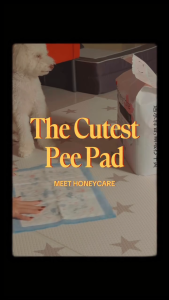 Honeycare Petrichor Pee Pads for Dogs | Antibacterial Fast Absorption with Fragrance (S/M/L)