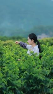 [ TOP BÁN CHẠY ] Hạt giống rau ngót gói 1 gram