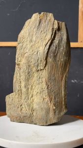 1 viên gỗ hóa thạch 26cm tự nhiên hàng việt dùng trang trí nhà cửa sân vườn nặng 4kg6 2