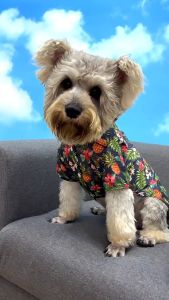 Po&Co Summer Pet Cooling Dog Clothes Hawaiian Style Leaf Printed Beach Cat Shirt for Puppy Small Large Dog Pomeranian Golden Retriever Costume Pet Clothing