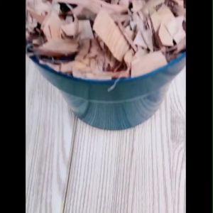 Bibit Daun Sirih Hitam ASLI Termurah