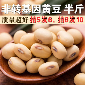 High Germination Rate 250g Packaged Yellow Beans Farmhouse Grown for Sprouting Home Use Food Product from Shandong Province
