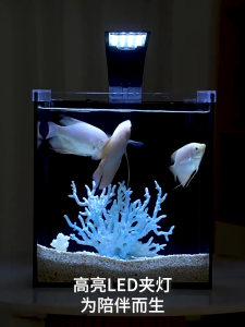YEE Back Filtered Integrated Ultra-Clear Glass Aquarium [10L - 24L] Full Aquascape Set For Home Use Small Eco Turtle