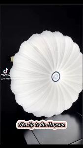 Đèn ốp trần đèn ốp trần trang trí nhà cửa 3 chế độ sáng HAPOVA 9780