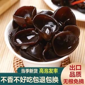 Farm Cultivated No Root Dried Black Wood Ear Fungus 250g
