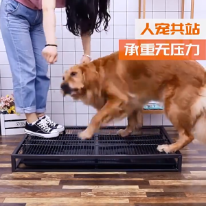 【24 Hour Shipping🚗✔️】 Toilet Drawer Pull-Out Small And Medium-Sized Dog Training Potty Dog Cleaning Pet Dog Bedpan