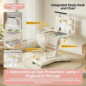 TEN-WIN | Integrated Student Desk Chair Set For Children