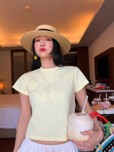 Short Sleeve round Neck Embroidered T-Shirt Womens Slim Fit Korean Style Commute Cotton Polyester Blend Summer Top