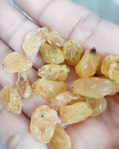 Fresh Raisins | AA Gold Raisins | Kismis Emas AA Dried Fruit 150g