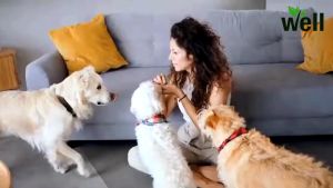 Penghilang Bau Kotoran Kucing Anjing Pet Odor Remover Spray Pewangi Pengharum Bau Kandang Hewan