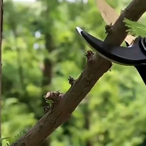 【COD】SK5 Gardening Pruning Shears Thickened Steel Bonsai Fruit Trees Scissors Garden Hands Pruner Cutter Gardening Tools花果树木大剪刀