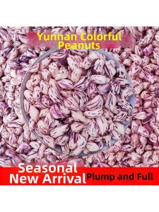 Fresh Sun-dried Multi-colored Peanuts