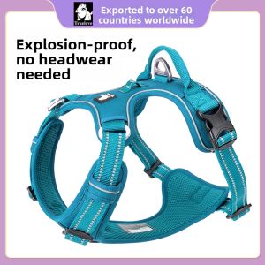 TRUELOVE | Dog Chest Harness Leash