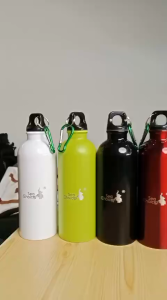 SEA CHOICE 500ml Sports Water Bottle – 304 Stainless Steel Lightweight Durable Travel Companion
