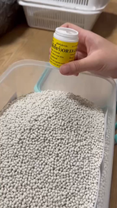 เมล็ดเคลือบ [1000 เมล็ด] เมล็ดชนิดเคลือบผักสลัด ENZA ZADEN อัตราการงอกสูง