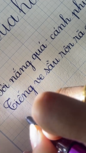Bút Máy Sao Thiên S011 Ngòi Lá Tre Tự Tạo Thanh Đậm Calligraphy