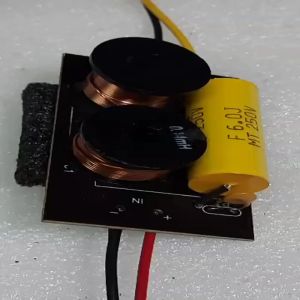 2 Pcs Double Air Coils Tweeter 12db Passive Crossover Network (with two Sony Air Coils) AS- DC600