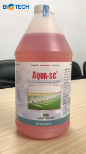 Aqua SC Vi sinh xử lý nước ao nuôi thủy sản nước ao nuôi cá cảnh combo 6 chai 2L