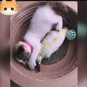 Pet Cat Collars Prevent Fleas Mites And Ticks Kittens And Puppies Treatment Neckbands Prevent Flea