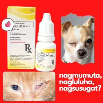 Shop Cyclosporine Eye Drops Dog with great discounts and prices online Sep 2024 Lazada Philippines