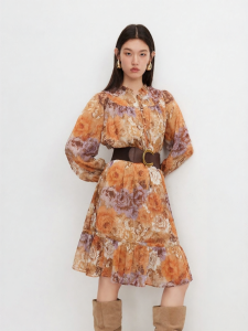 Vero Moda | Lurex Ruched Tie-waist Chiffon Printed Dress