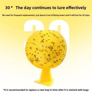 MONLEYTA | Indoor Kitchen Bug Trap Fly Attractant Killer Small Flying Insects Removal Sticky Ball Fly Catcher MONLEYTA Brand