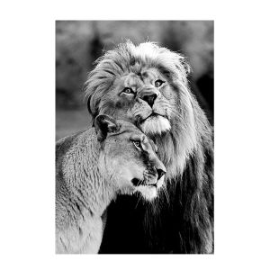 BILIBILI | Black and White Art Canvas PaintingLion Poster Canvas Wall Art Pictures Animal Posters and Prints for Living Room Home Decor