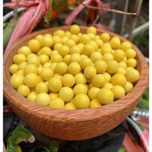 [FREESHIPMAX] Viên nghệ mật ong đau dạ dày Tinh bột nghệ nguyên chất Tinh bột nghệ Viên tinh nghệ mật ong