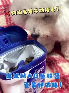 MAG | Bổ Sung Dinh Dưỡng Mọc Lông Cho Chó