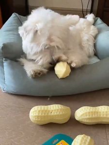 Peanut Shaped Squeaky Sound Interactive Chewing Pet Toy / Dog Toy