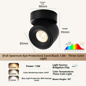 DENGFU | Rotatable Adjustable Spotlight Ceiling Light