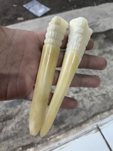 PIPA ONCE GG TULANG UNTA MODEL TARING