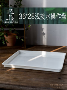 Rectangular Tray Potted Plant Water Catching Tray Seedling Cultivation Flower Pot Immersion Operation Bonsai Floral Rectangular Tray