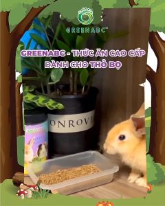 Thức ăn Thỏ Bọ GREENABC - Lông mượt tiêu hóa tốt tăng đề kháng ăn ngon – Hộp 480g