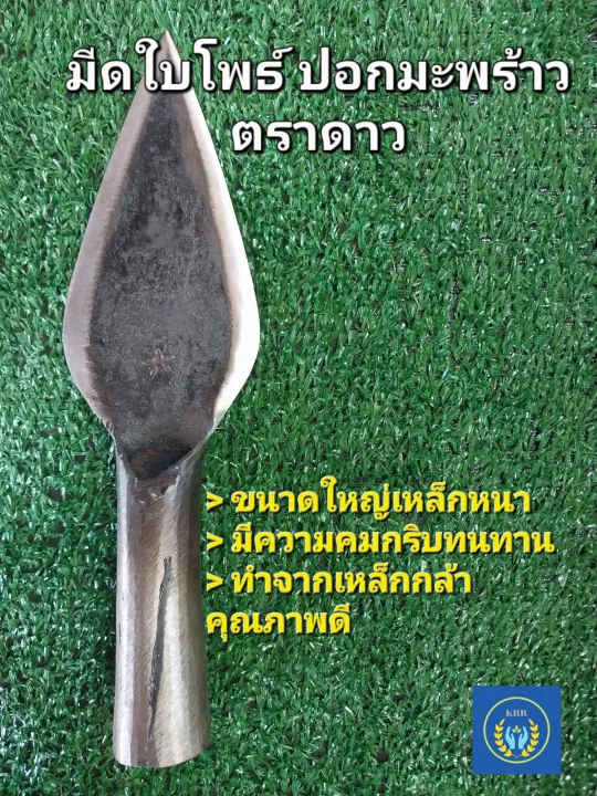 มีดใบโพธิ์ มีดปอกมะพร้าว เสียมปอกมะพร้าว คมกริบ