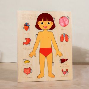Montessori Jigsaw Puzzle Of Human Structure Kids Human Learning Toy,Anatomy Organ Model Anatomy Toy Children Education Toy