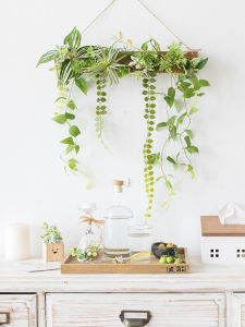 A Ying Wall Artificial Green Plants Ins Scandinavian Flower Creative Wall Hanging Plant Ugly Covering Pendant Background Wall Decoration