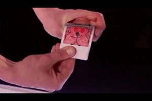 Alat Sulap Card Toon Prediction V1 - KZ007