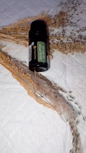 Darjeeling Eucalyptus Essential Oil / Minyak Eukaliptus - 5ml