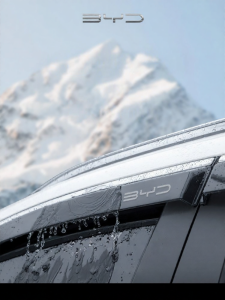 HANNENGDA | Weather Guard Rain Visors for BYD Tang