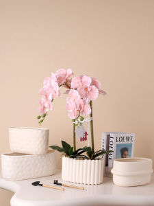 Nordic Minimalist Raw Glazed Ceramic Flower Pots & Office Butterfly Orchid Planter
