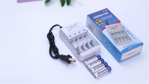 Bộ sạc pin Doublepow B02 thông minh 4 khe sạc 4 pin ĐŨA AAA 900mAh (Pin nhỏ) chính hãng sạc đa năng AA/AAA