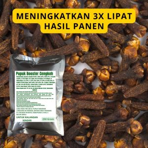 Pupuk Booster Cengkeh: Manfaat & Cara Penggunaan