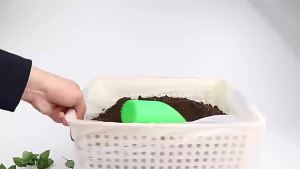 100pcs Non-Woven Plant Nursery Bags Pots Flowers Fruit Tree Seedling Biodegradable Fabric Pouch for Vegetable Seed Cultivation