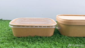 Rectangular Kraft Food Container With Lids Rectangular Tub Takeaway Lunch box For Restaurant Cafe Hawker Catering Service